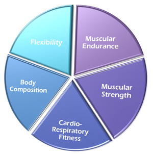 maria pontillo components of health